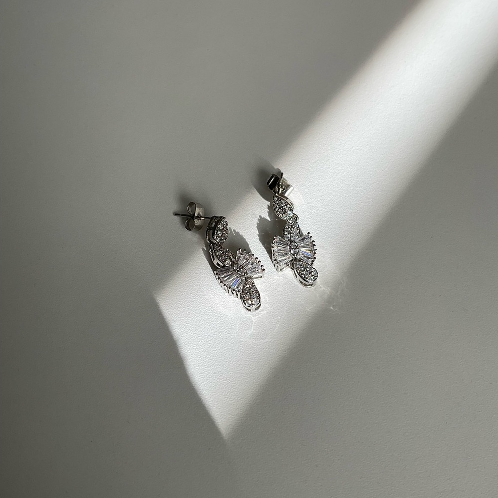 Stunning Earrings